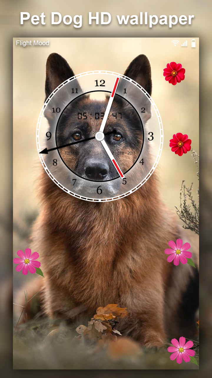 اسکرین شات 2 برنامه Cute Pet Dog Live Wallpaper HD