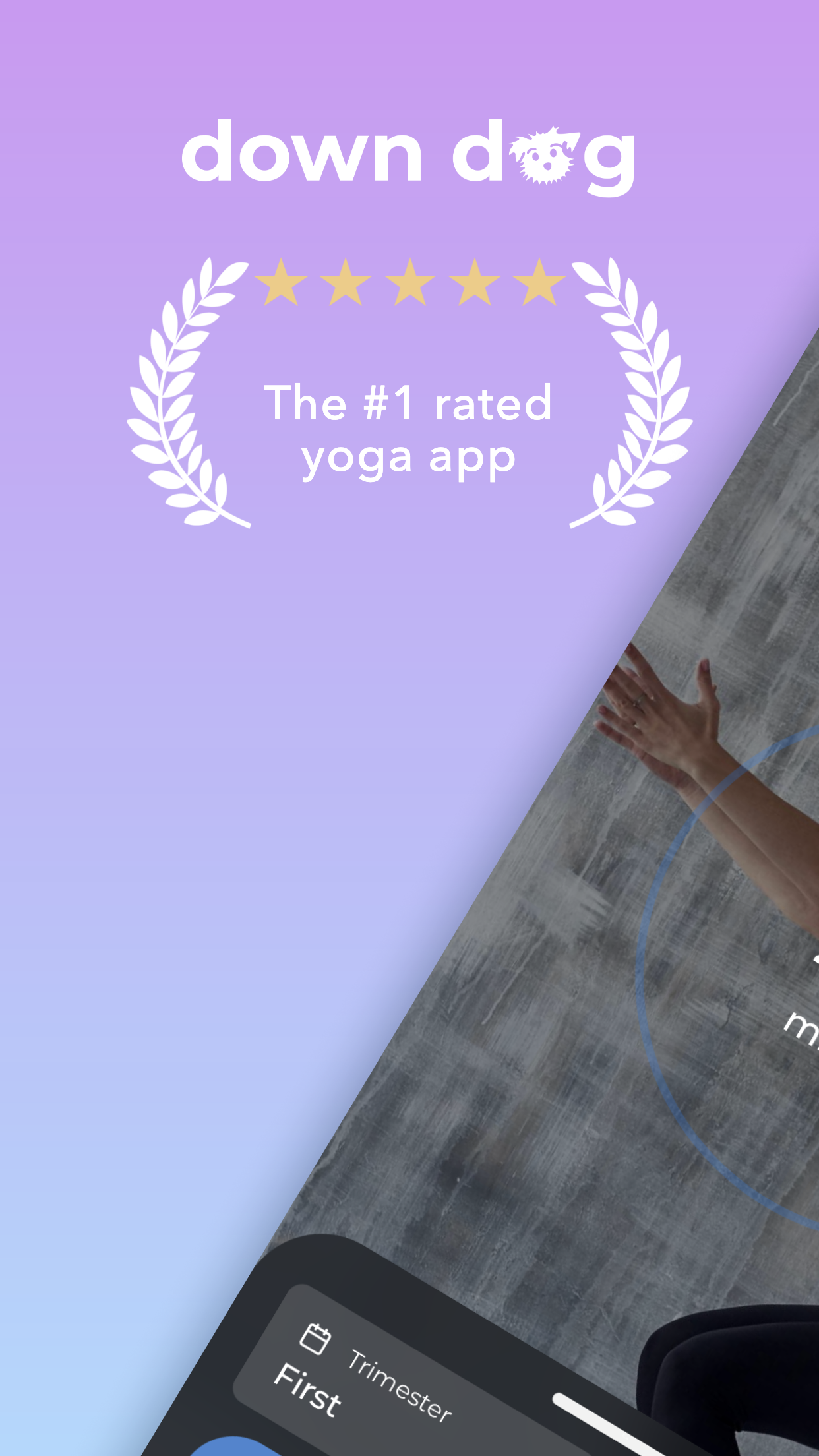اسکرین شات 1 برنامه Prenatal Yoga | Down Dog