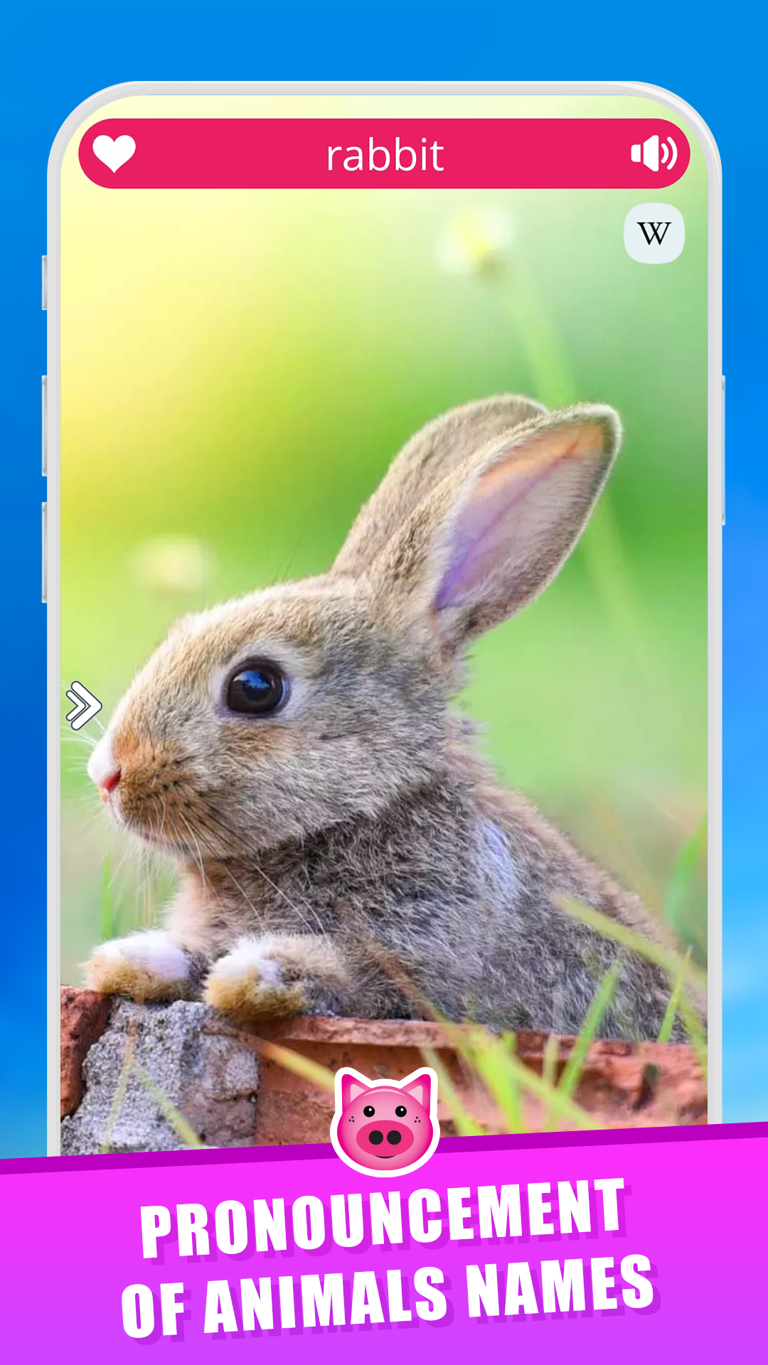 اسکرین شات 2 برنامه Animal Sounds