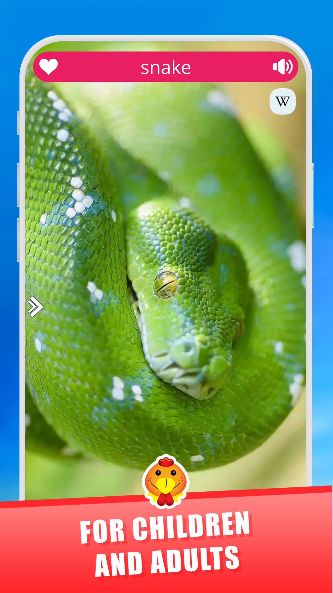 اسکرین شات 6 برنامه Animal Sounds