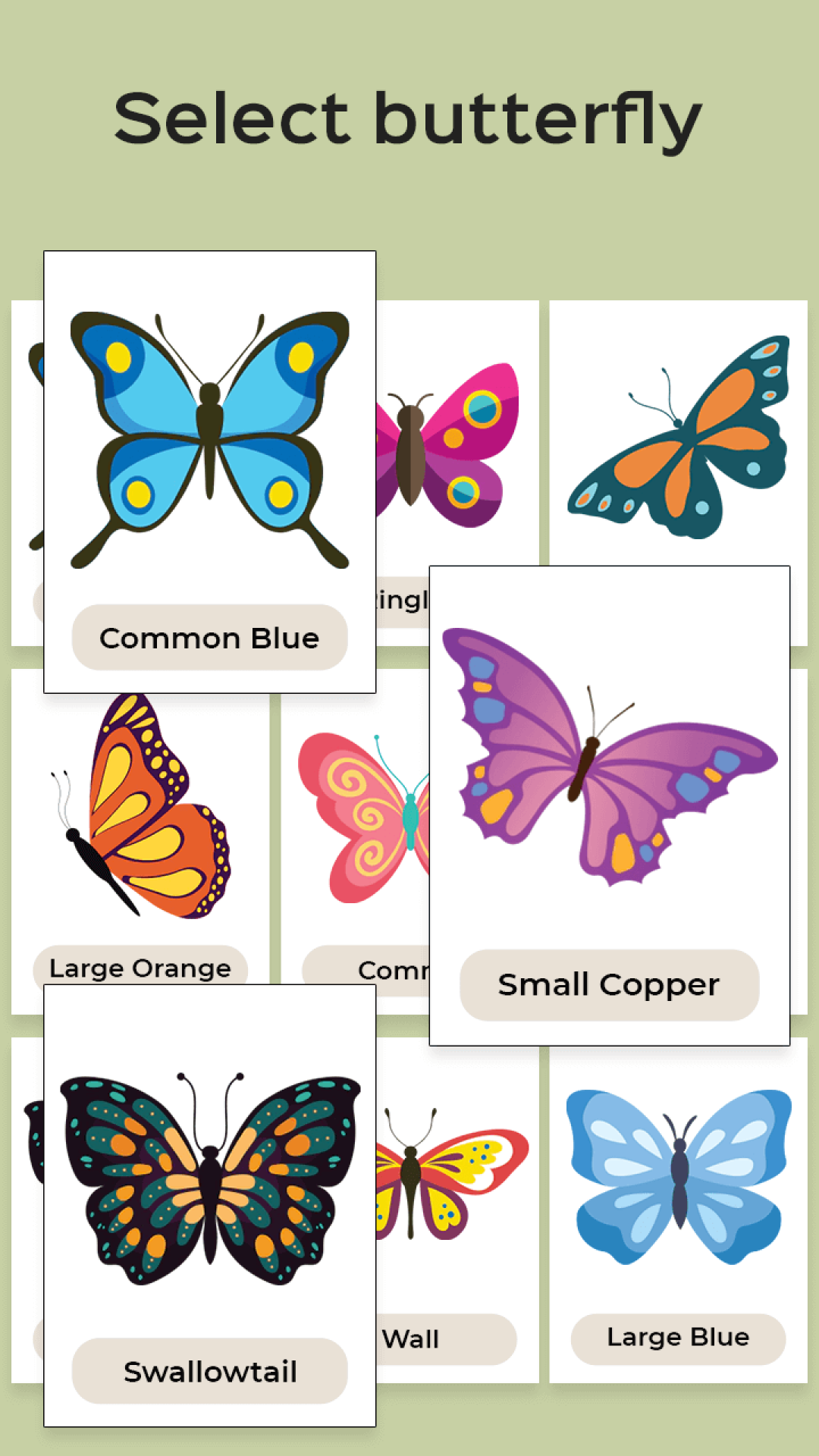 اسکرین شات 3 برنامه Butterfly Draw Step by Step