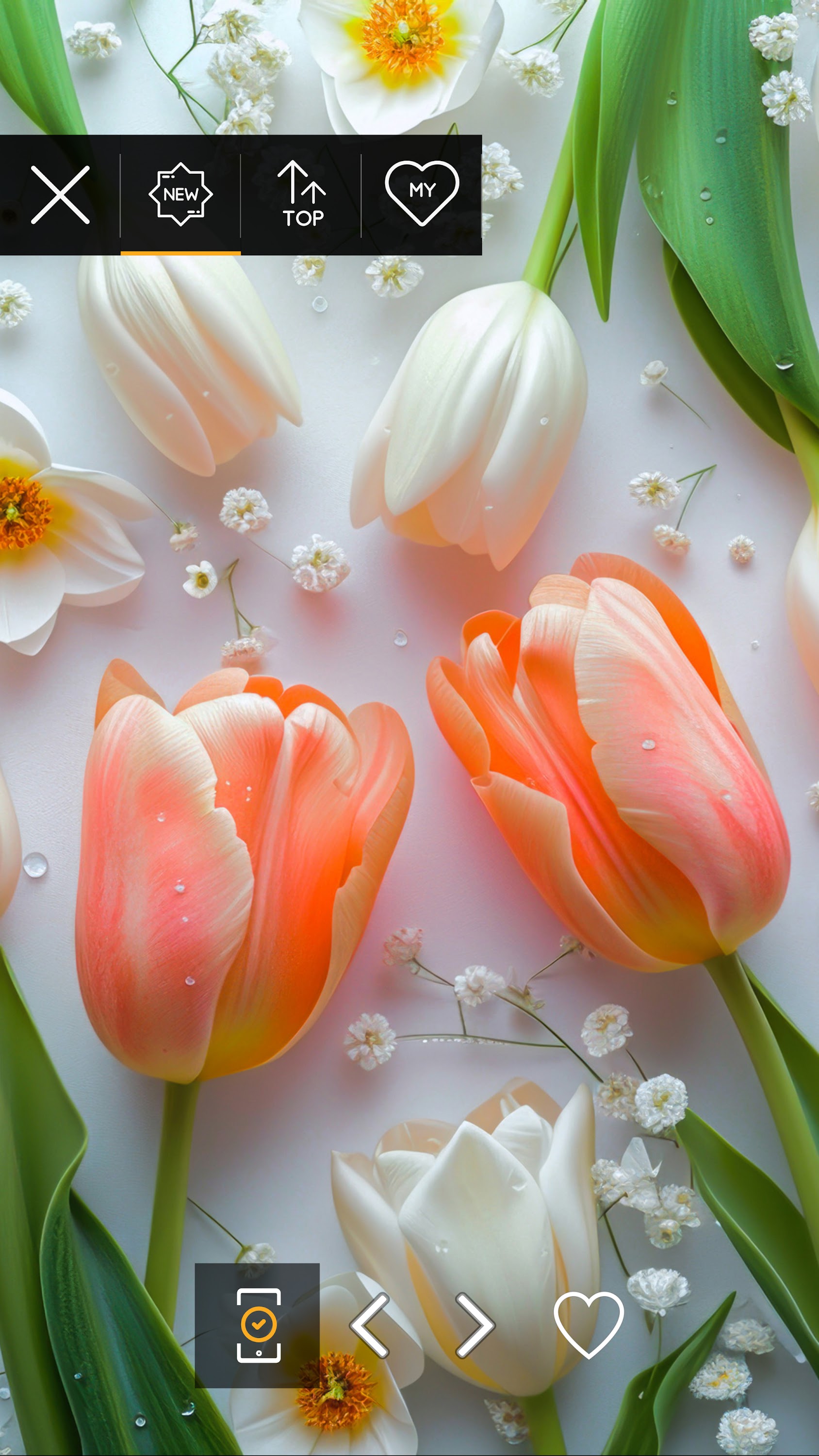 اسکرین شات 3 برنامه Wallpapers with flowers in 4K