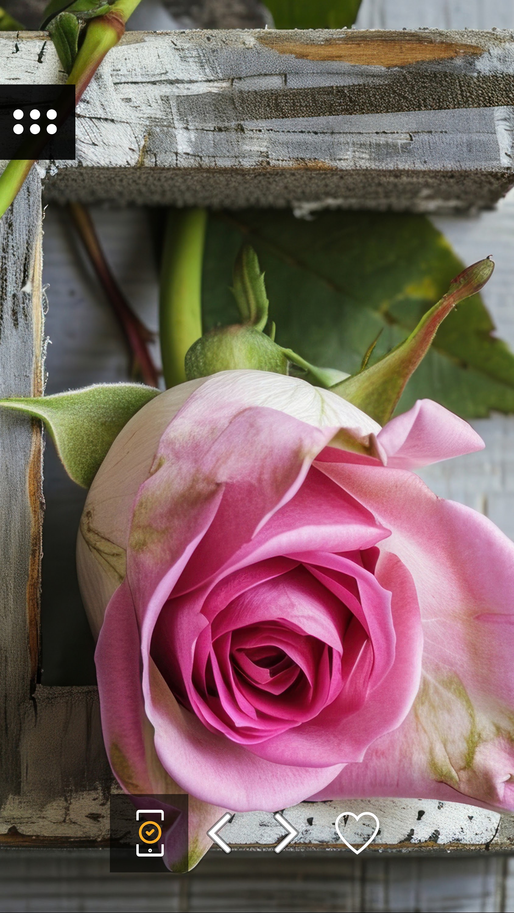 اسکرین شات 1 برنامه Wallpapers with flowers in 4K