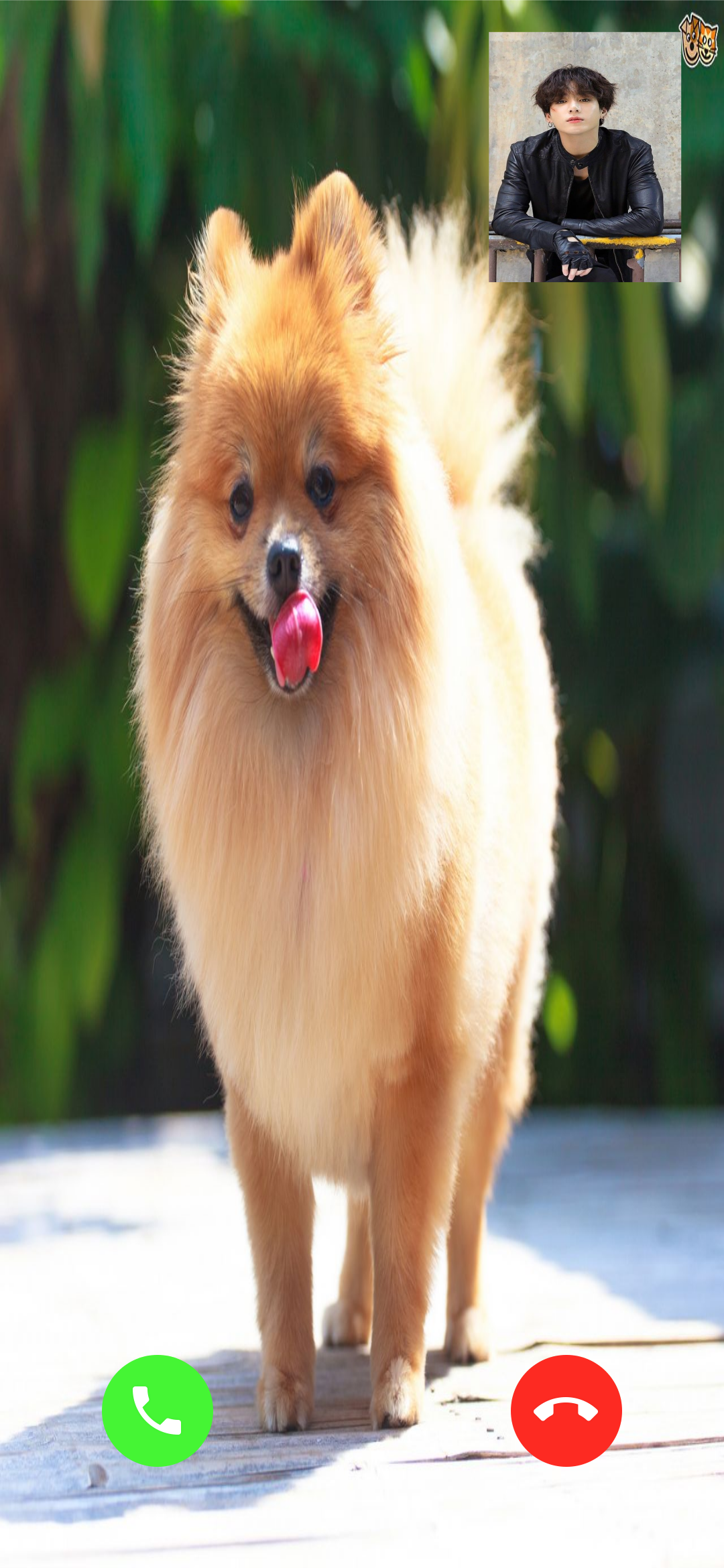 اسکرین شات 2 برنامه Pomeranian Dog Video Call Simu