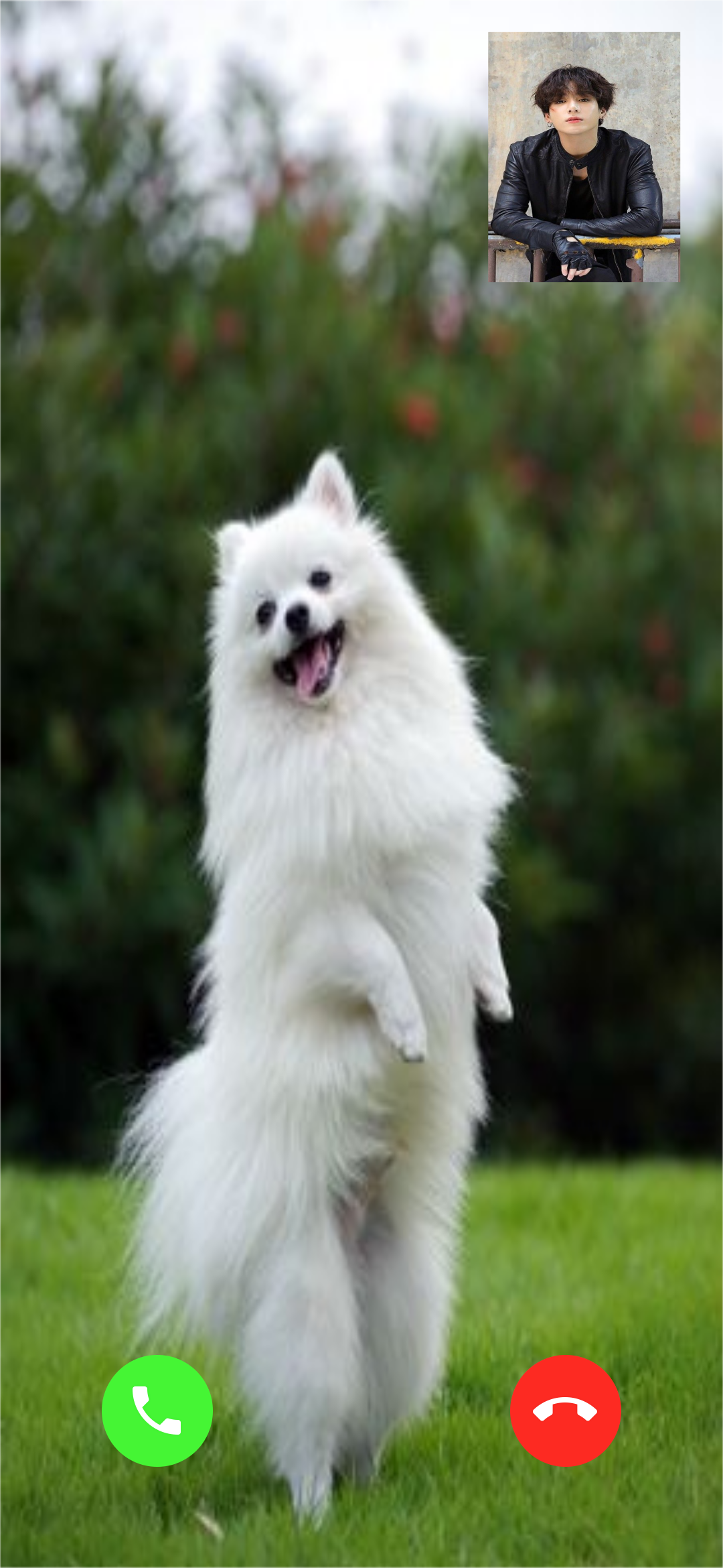 اسکرین شات 3 برنامه Pomeranian Dog Video Call Simu