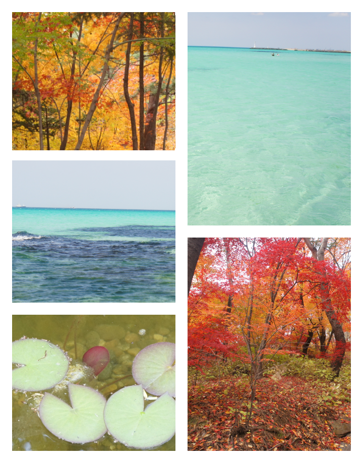 اسکرین شات 4 برنامه Photo Frame (Collage Maker)