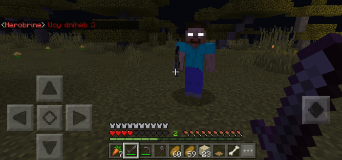 اسکرین شات 3 برنامه Herobrine mod for Minecraft