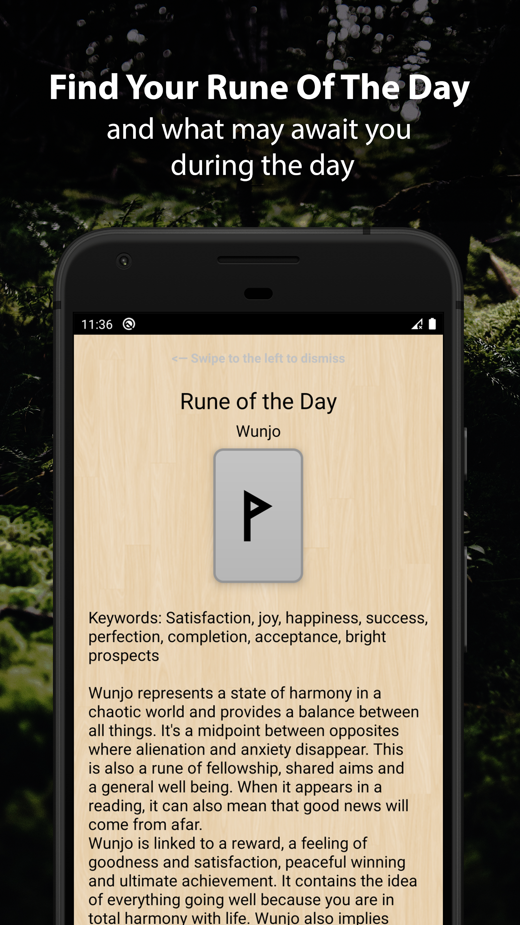اسکرین شات 4 برنامه Runic Divination - Runes Tarot