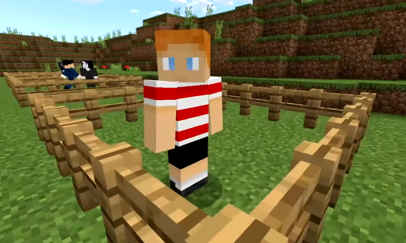 اسکرین شات 3 برنامه Mod for Minecraft PE