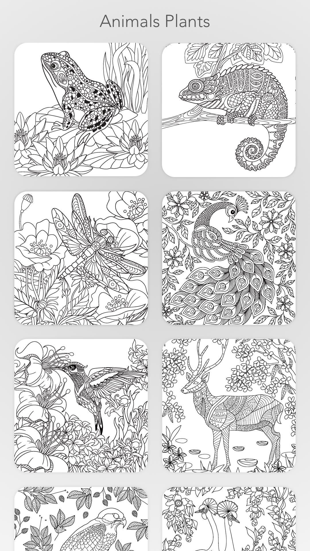 اسکرین شات 8 برنامه Garden Coloring Book