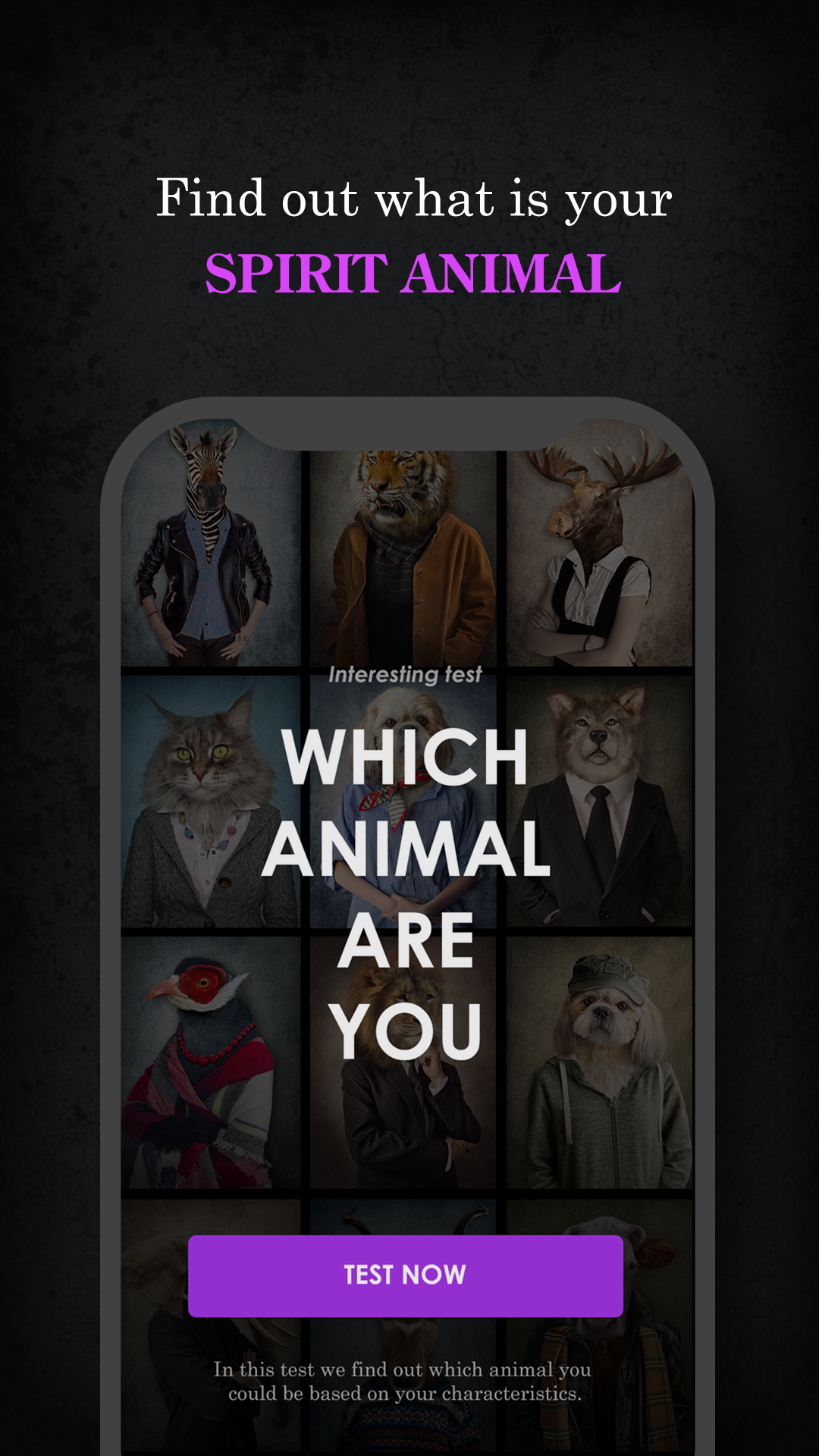 اسکرین شات 1 برنامه Which Animal Are You Test