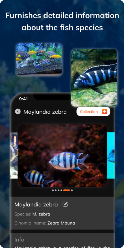 اسکرین شات 4 برنامه FishDetect - Fish Identifier