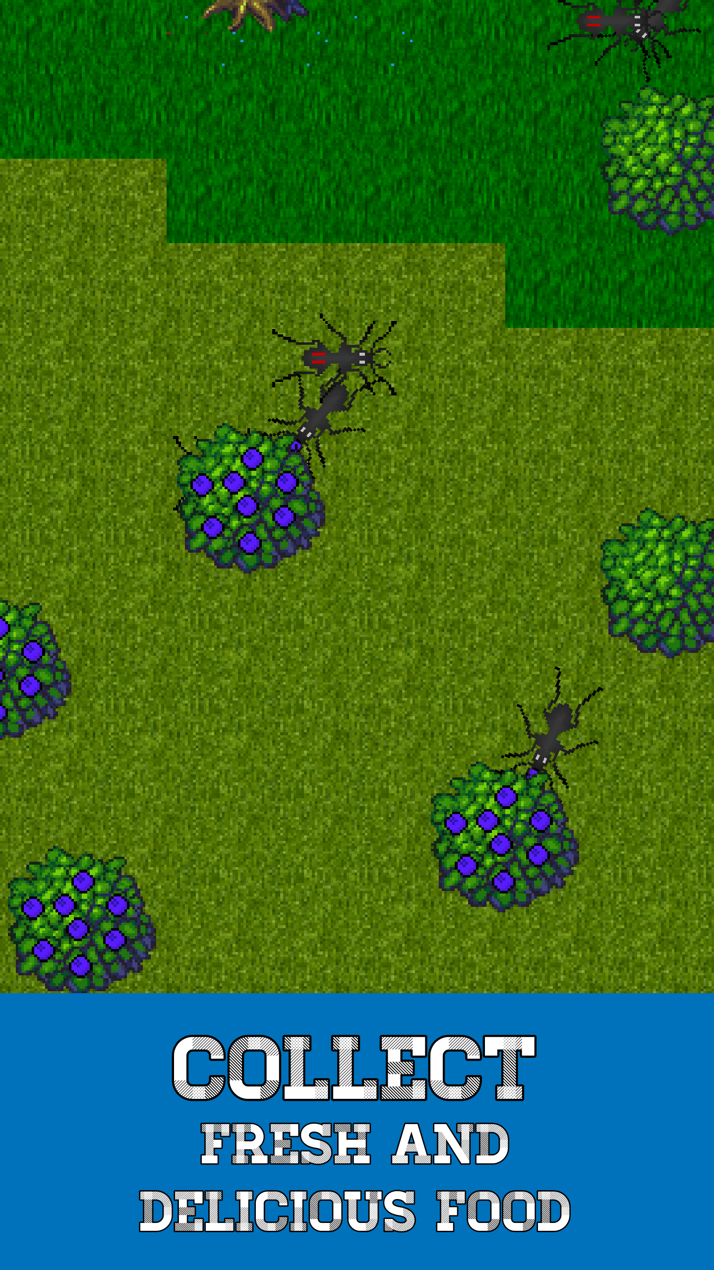 اسکرین شات 2 بازی Ant Evolution: Ant Simulator