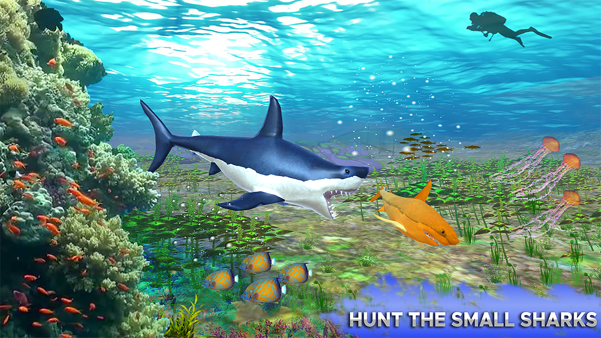 اسکرین شات 3 بازی Big Shark Vs Small Sharks