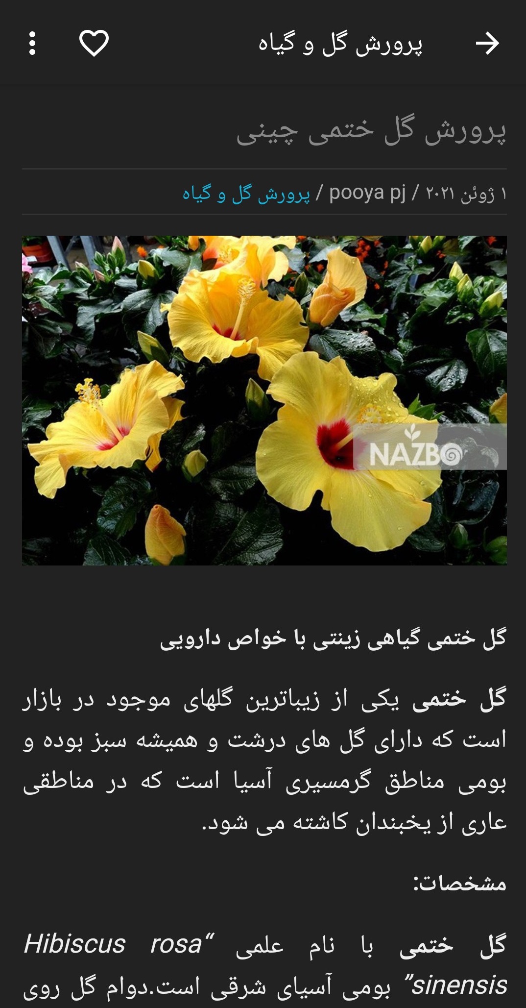 اسکرین شات 2 برنامه پرورش گل و گیاه