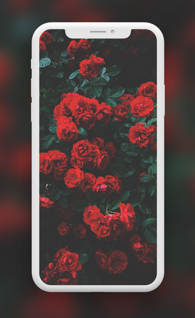 اسکرین شات 7 برنامه Flowers Wallpapers