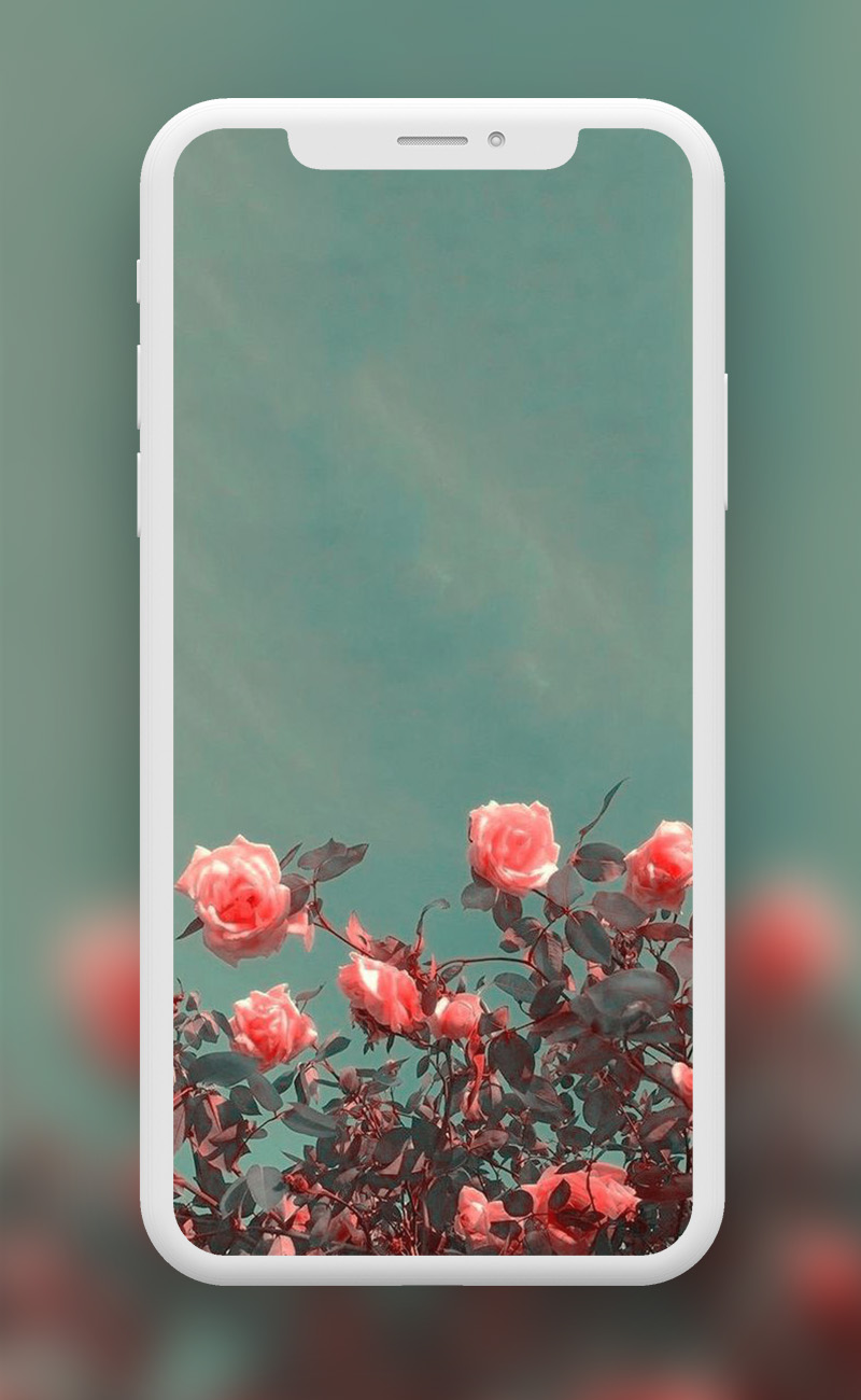 اسکرین شات 2 برنامه Flowers Wallpapers