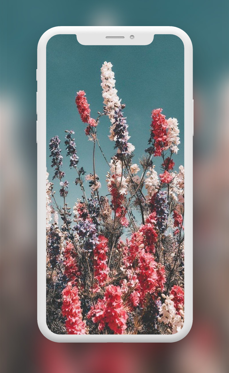 اسکرین شات 5 برنامه Flowers Wallpapers