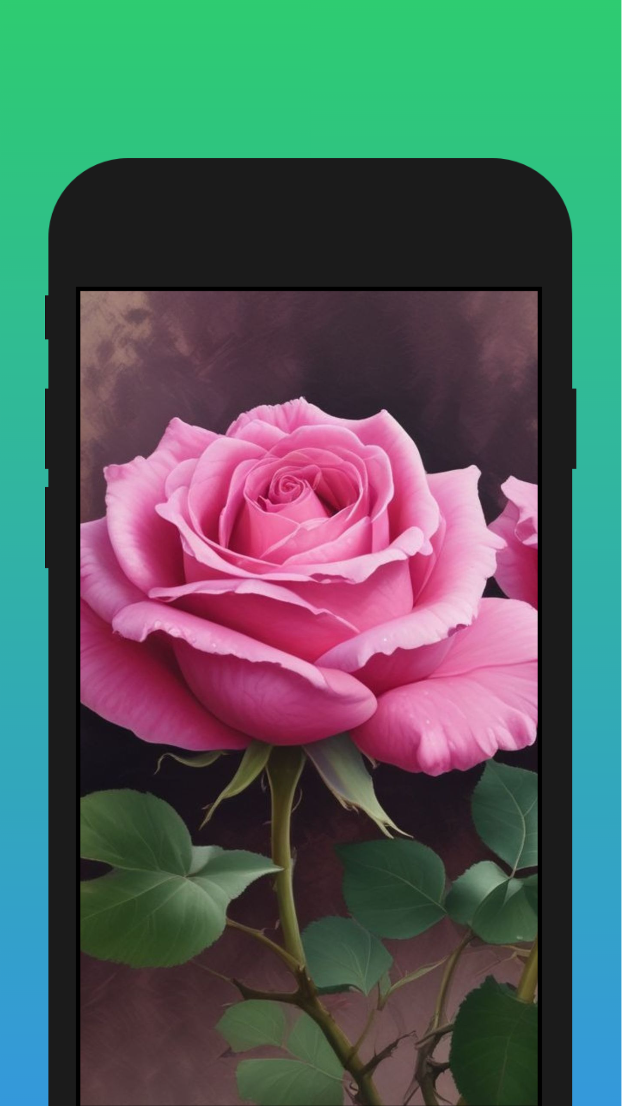 اسکرین شات 6 برنامه Flowers Wallpapers HD 4K