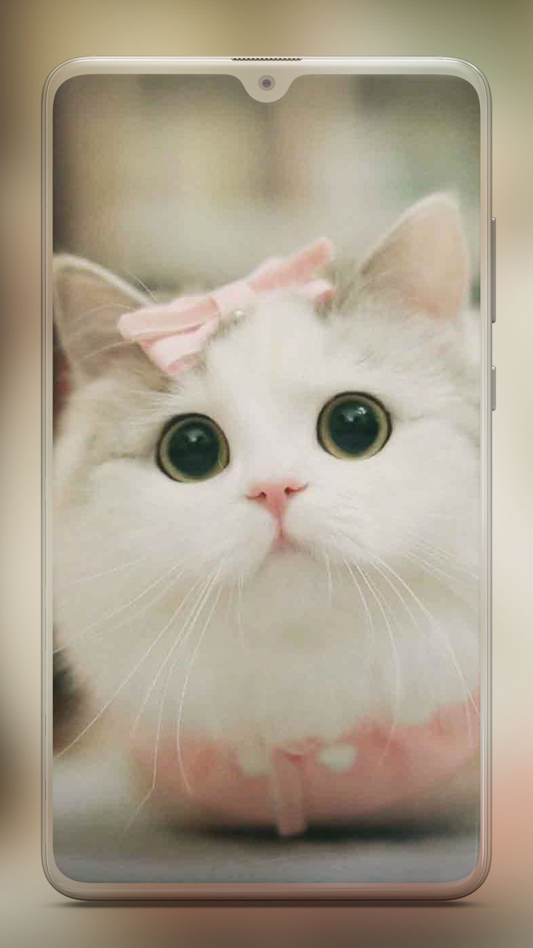 اسکرین شات 6 برنامه Cute Cat Wallpaper