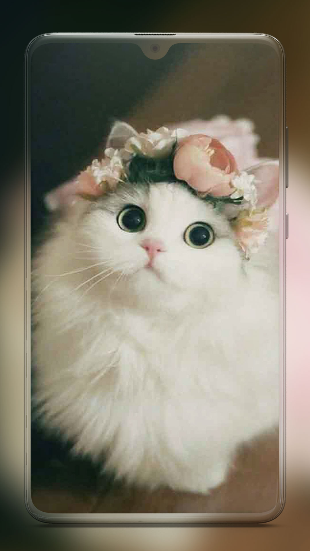 اسکرین شات 1 برنامه Cute Cat Wallpaper
