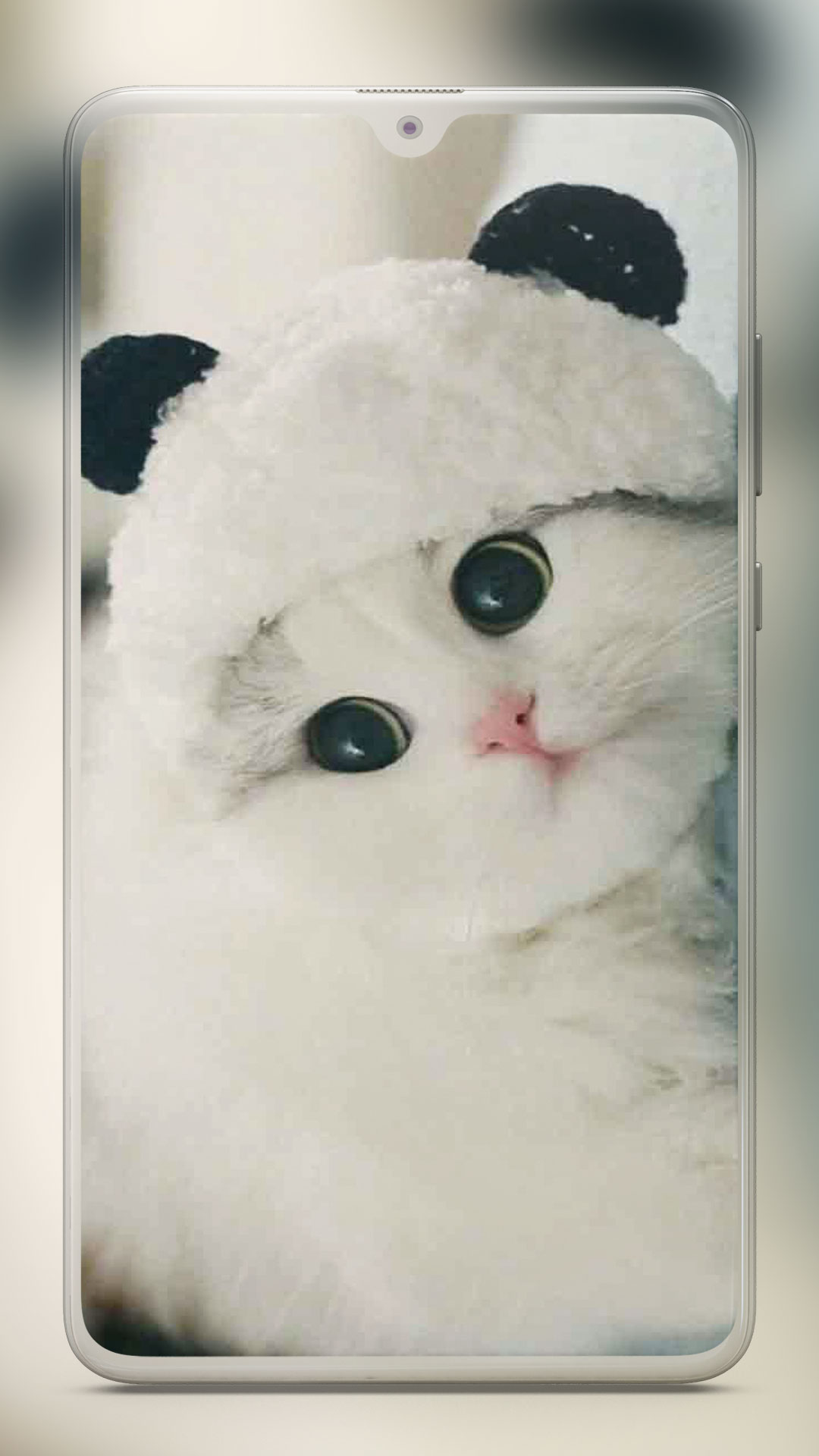 اسکرین شات 2 برنامه Cute Cat Wallpaper