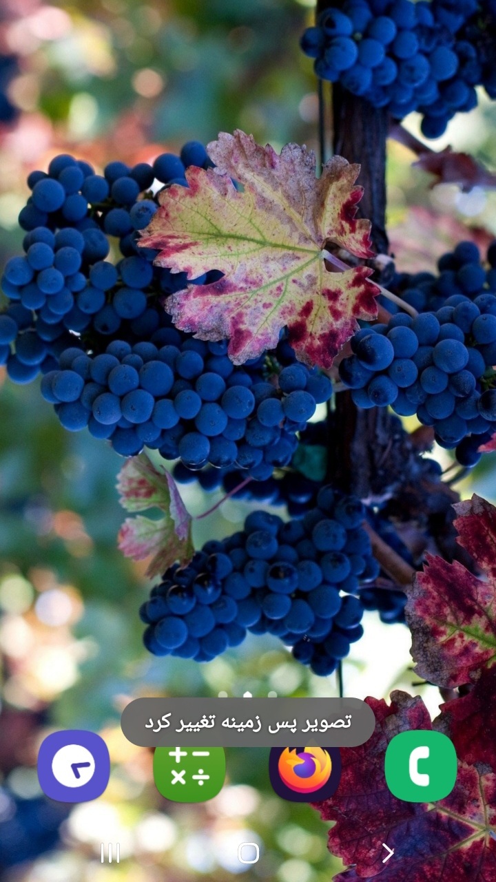 اسکرین شات 6 برنامه درختان میوه (تصویر زمینه)