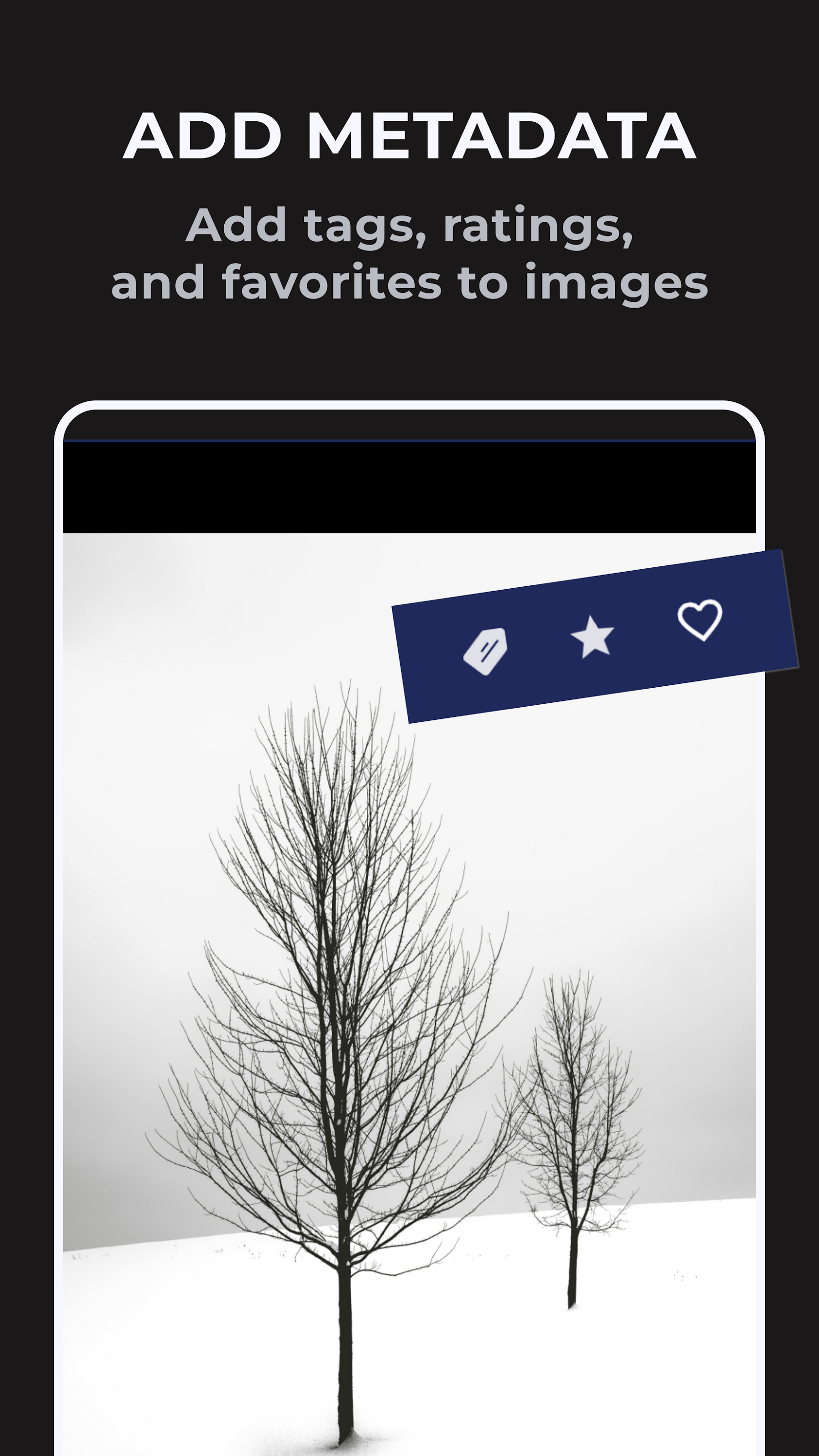 اسکرین شات 1 برنامه Fast Photo Gallery Pro: F-Stop