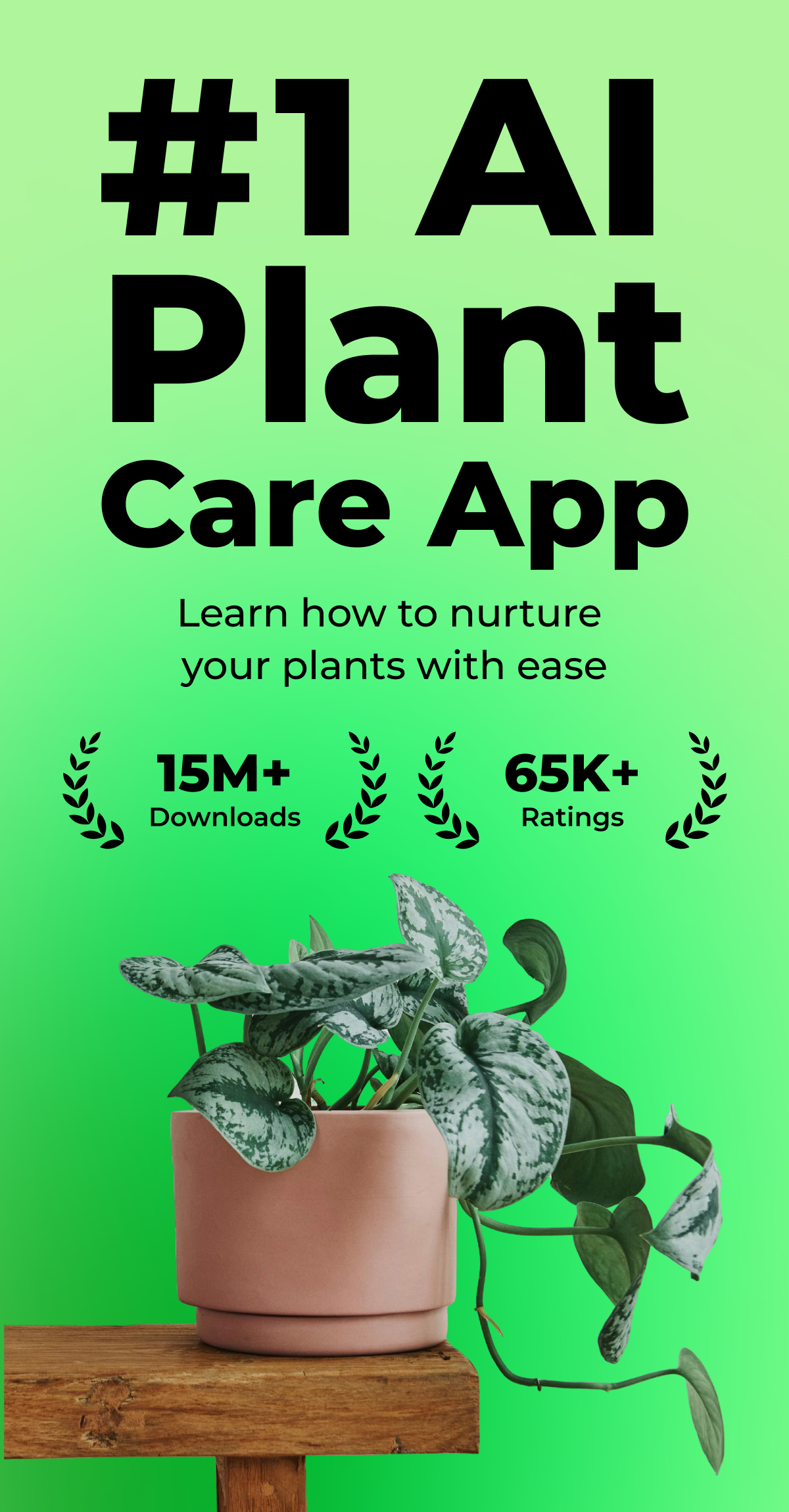 اسکرین شات 2 برنامه PlantSnap: plant identifier