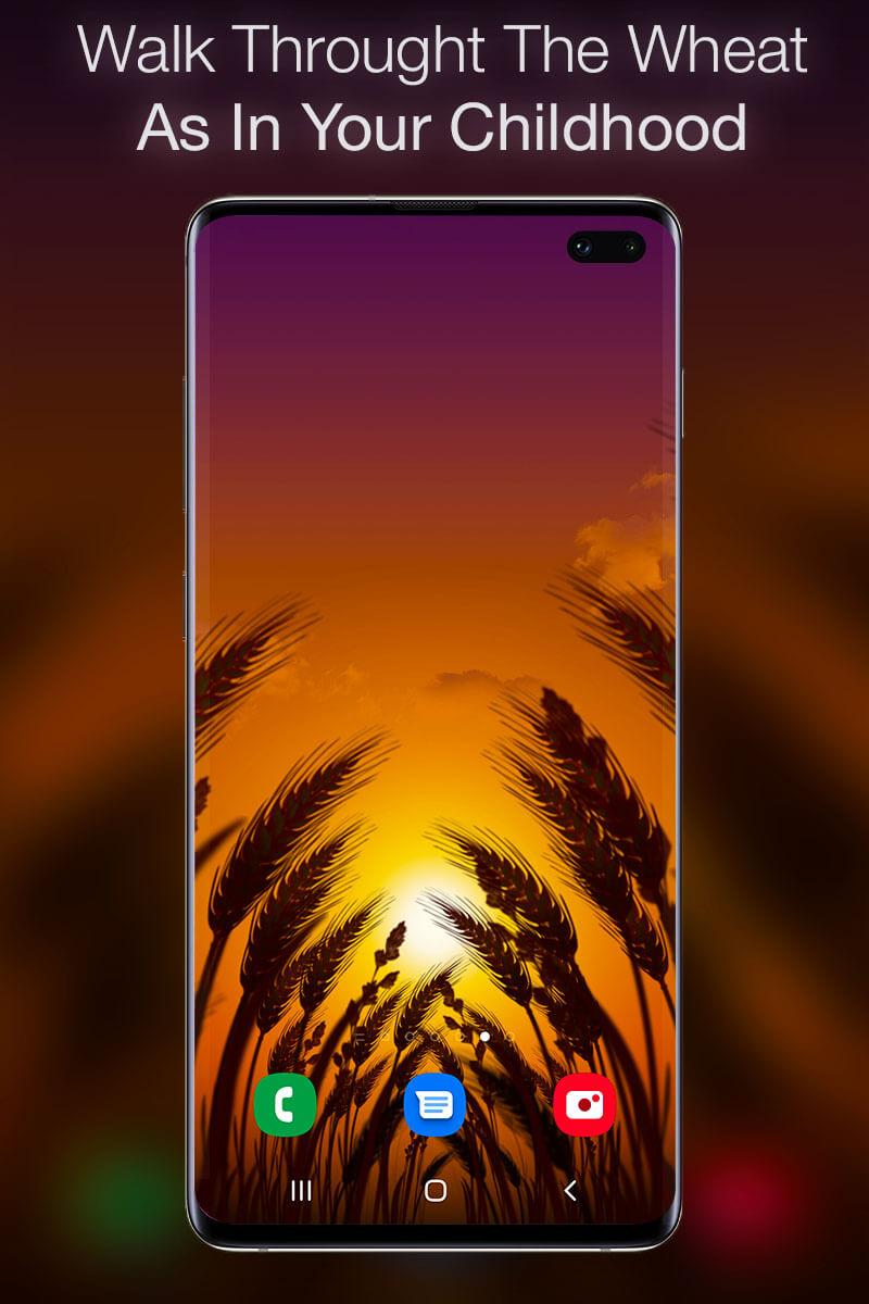 اسکرین شات 4 برنامه Wheat Dreams Live Wallpaper