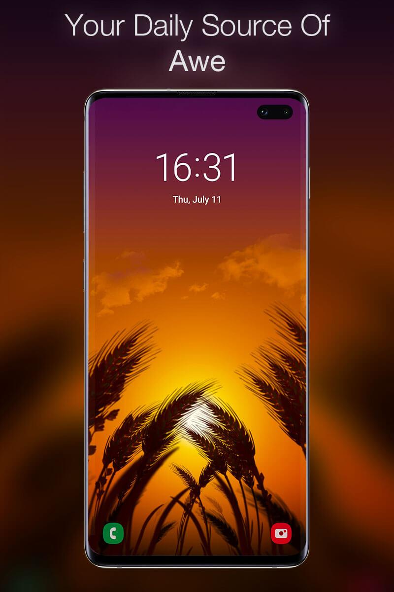 اسکرین شات 5 برنامه Wheat Dreams Live Wallpaper