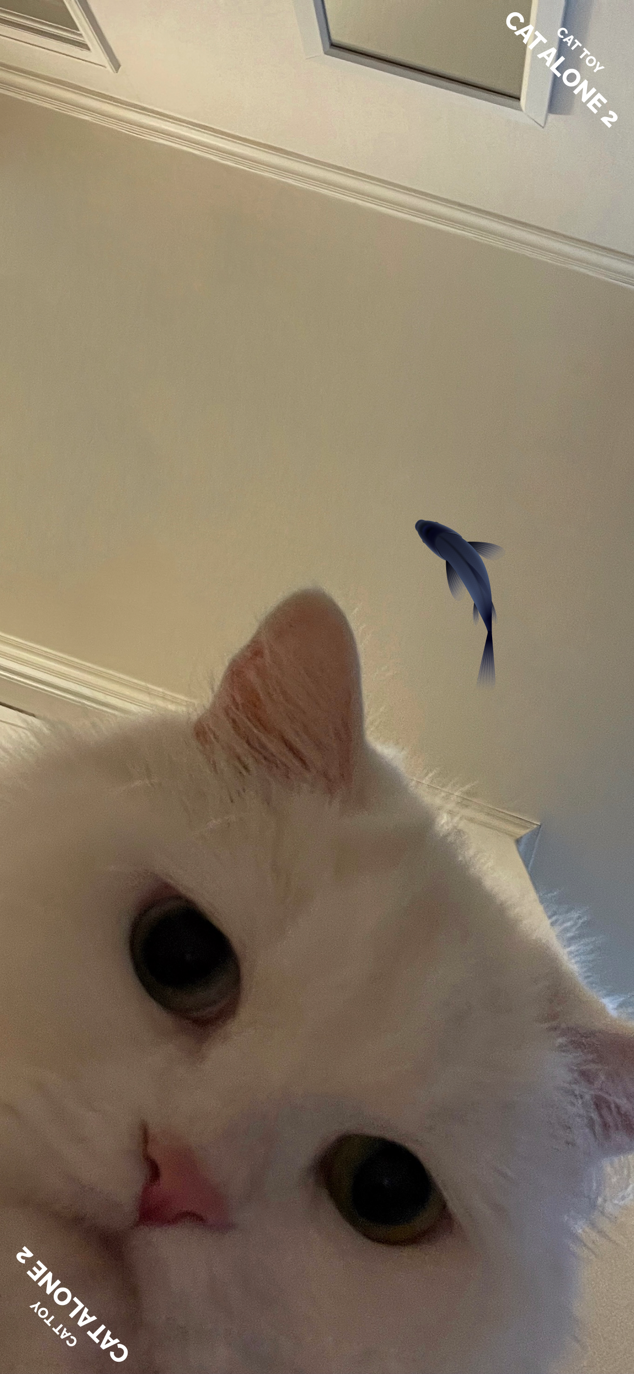 اسکرین شات 2 برنامه CAT ALONE 2 - Cat Toy