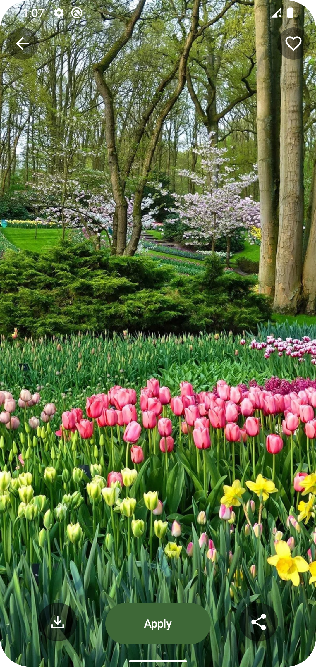 اسکرین شات 3 برنامه Garden Wallpapers 4k