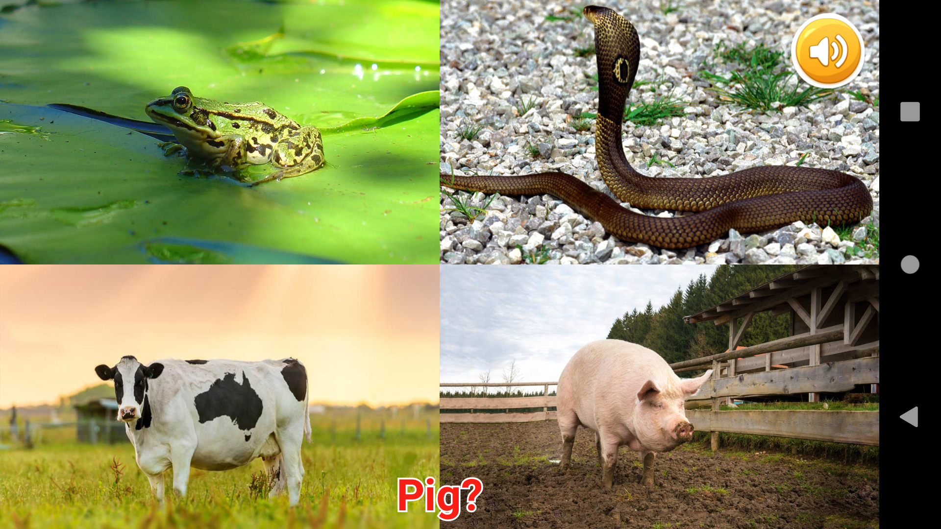 اسکرین شات برنامه Animals Learning 6