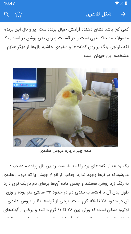 اسکرین شات 5 برنامه آموزش عروس هلندی