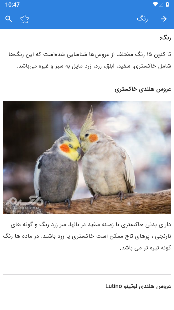 اسکرین شات 4 برنامه آموزش عروس هلندی