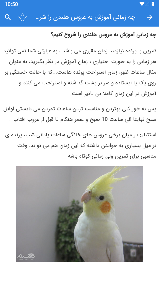 اسکرین شات 3 برنامه آموزش عروس هلندی