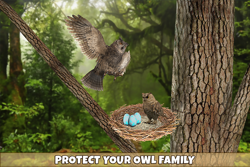 اسکرین شات 4 بازی Owl Bird Simulator Birds Game