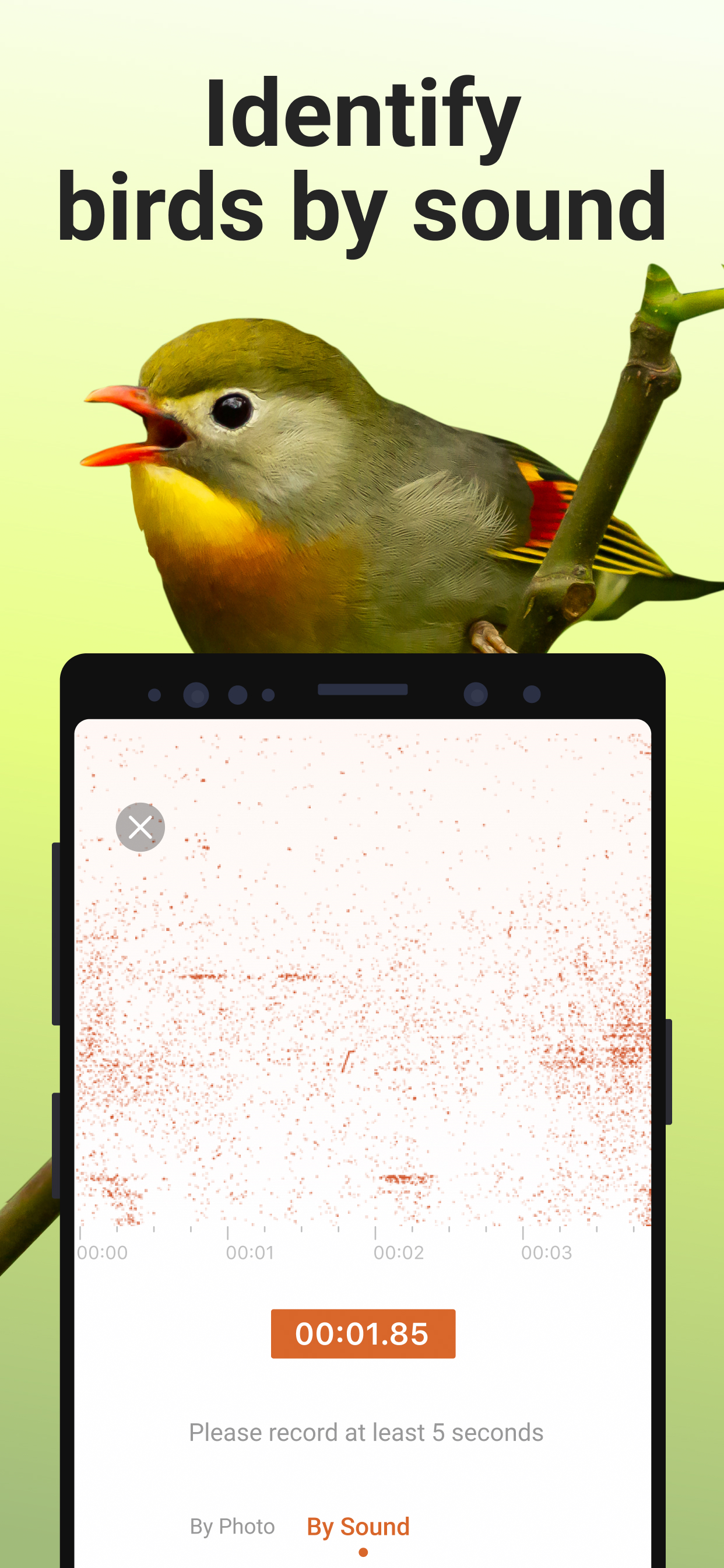 اسکرین شات 3 برنامه Picture Bird - Bird Identifier