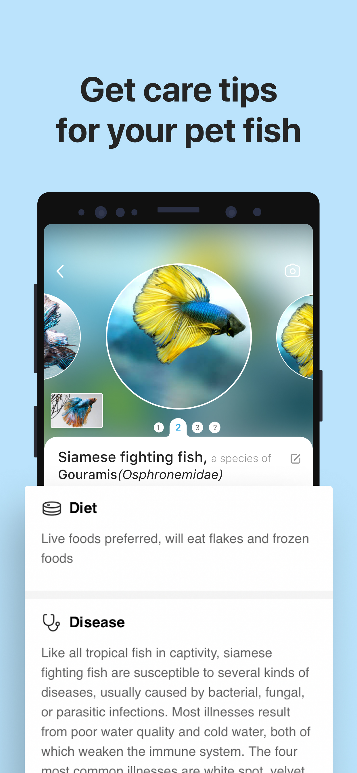 اسکرین شات 4 برنامه Picture Fish - Fish Identifier