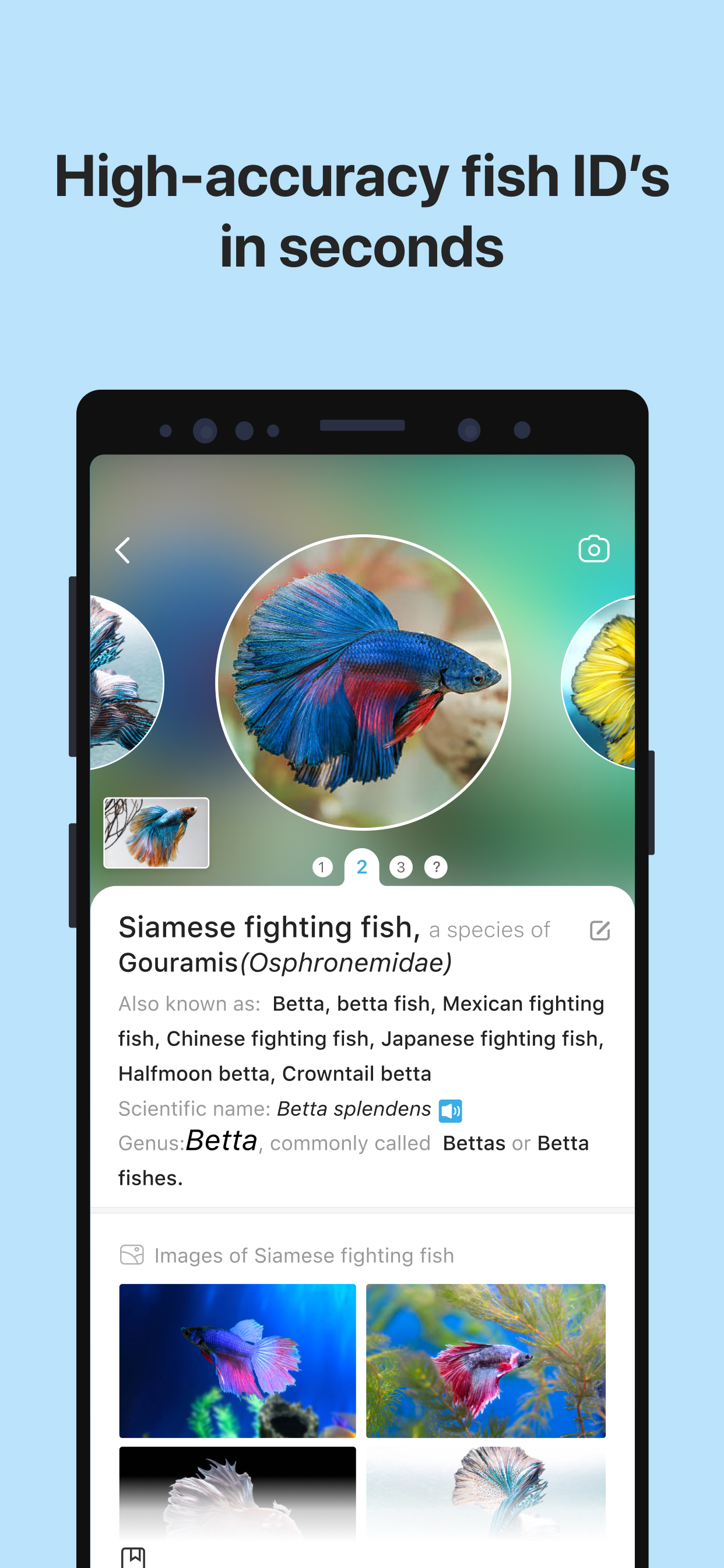 اسکرین شات 3 برنامه Picture Fish - Fish Identifier