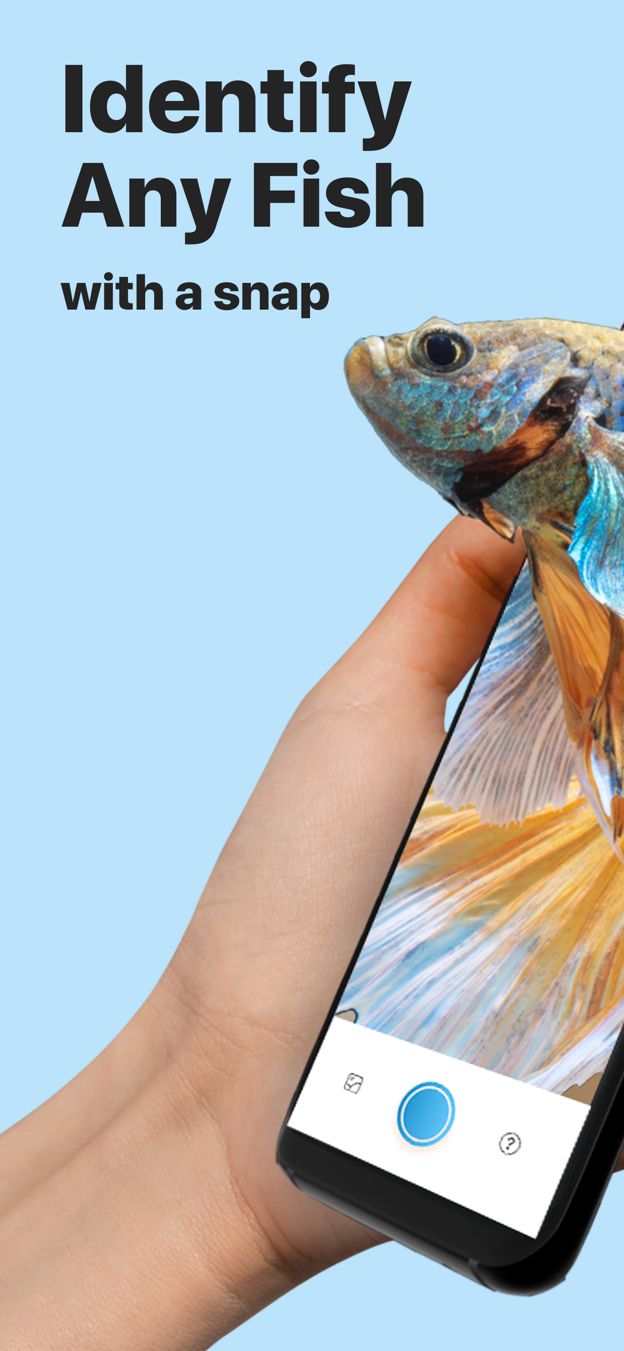 اسکرین شات 1 برنامه Picture Fish - Fish Identifier