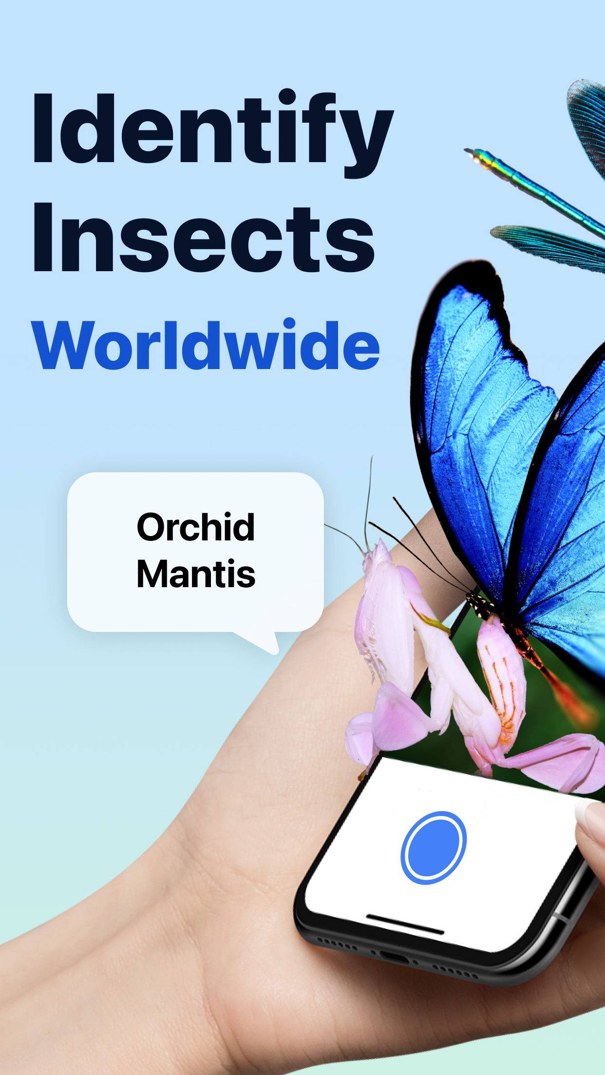 اسکرین شات 1 برنامه Picture Insect: Bug Identifier