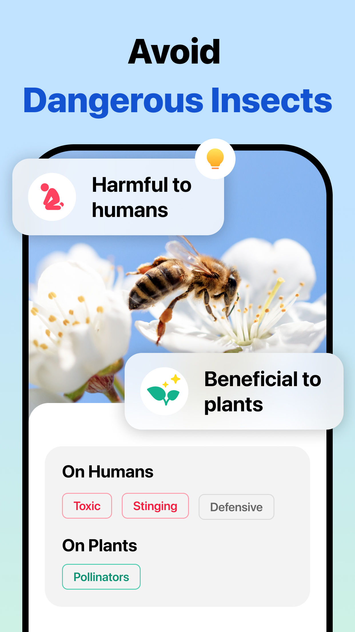 اسکرین شات 3 برنامه Picture Insect: Bug Identifier