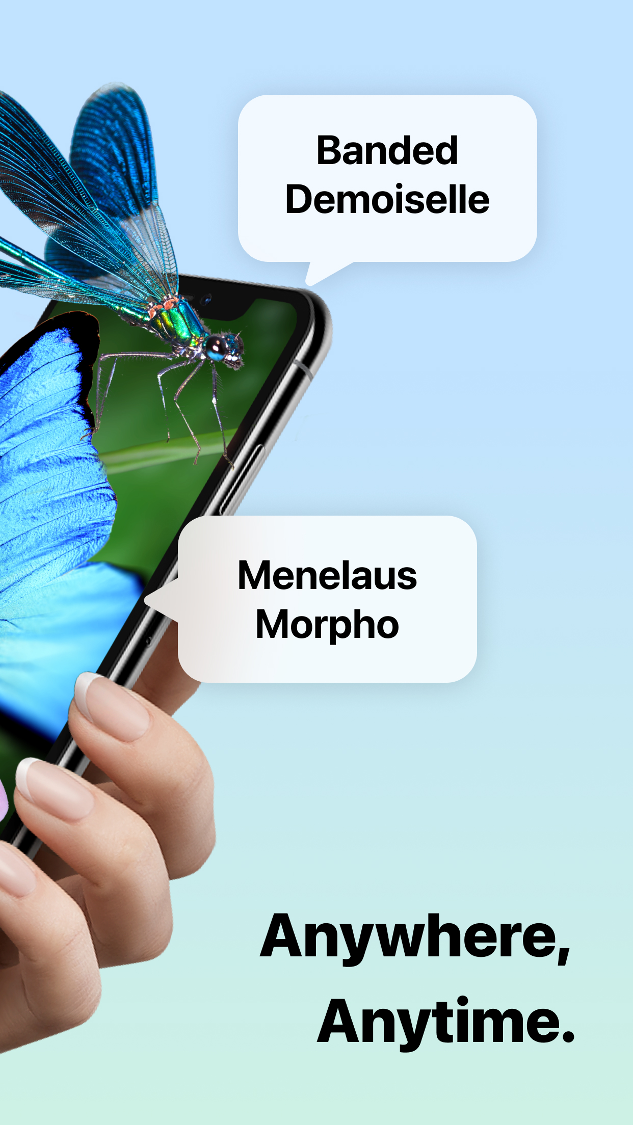 اسکرین شات 2 برنامه Picture Insect: Bug Identifier