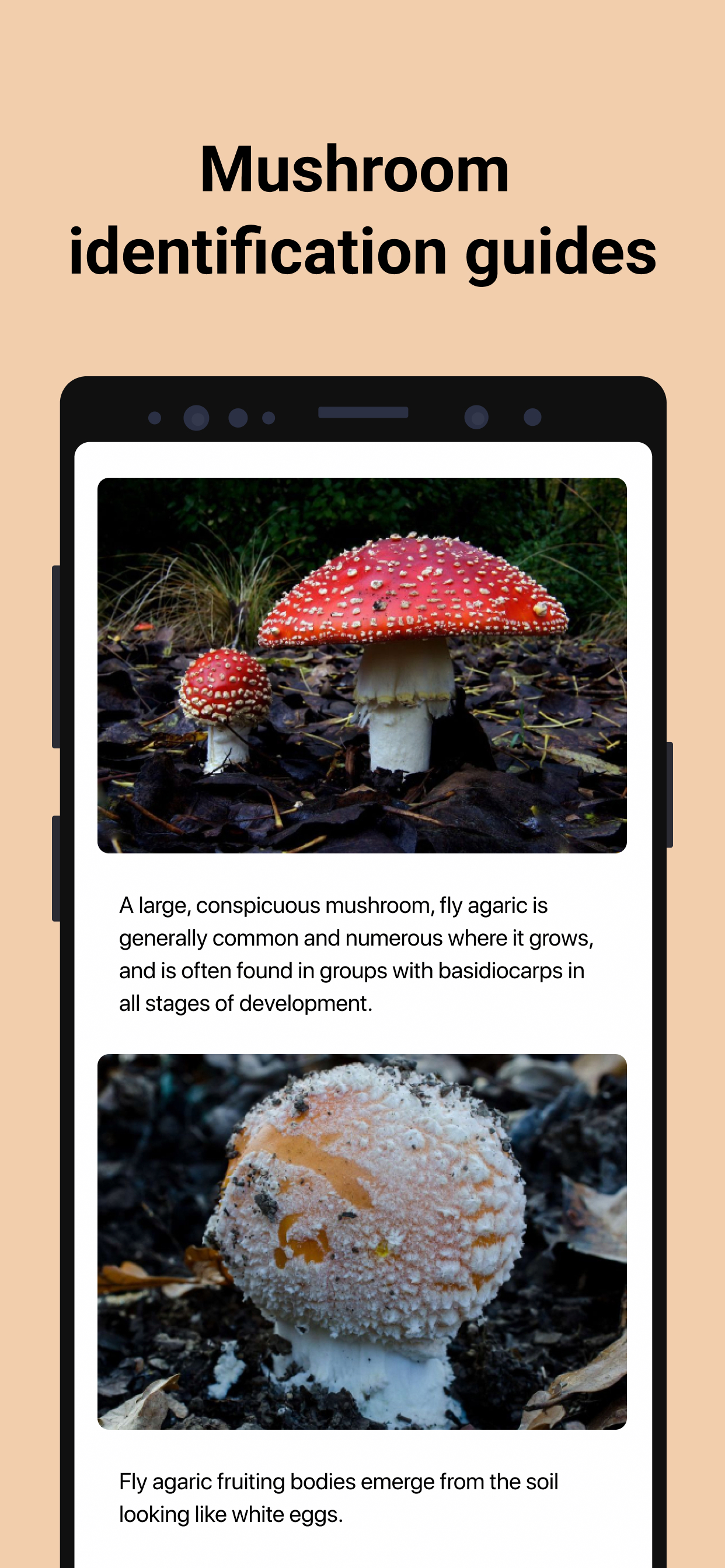 اسکرین شات 4 برنامه Picture Mushroom - Mushroom ID