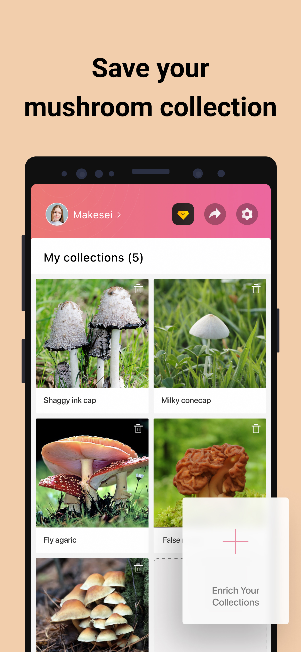 اسکرین شات 5 برنامه Picture Mushroom - Mushroom ID