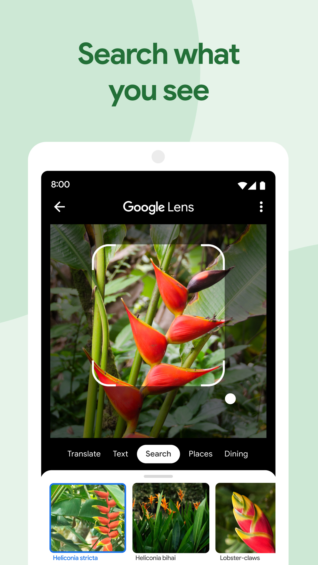 اسکرین شات 3 برنامه گوگل فوتوز (Google Photos)