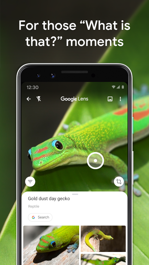 اسکرین شات 8 برنامه Google Lens