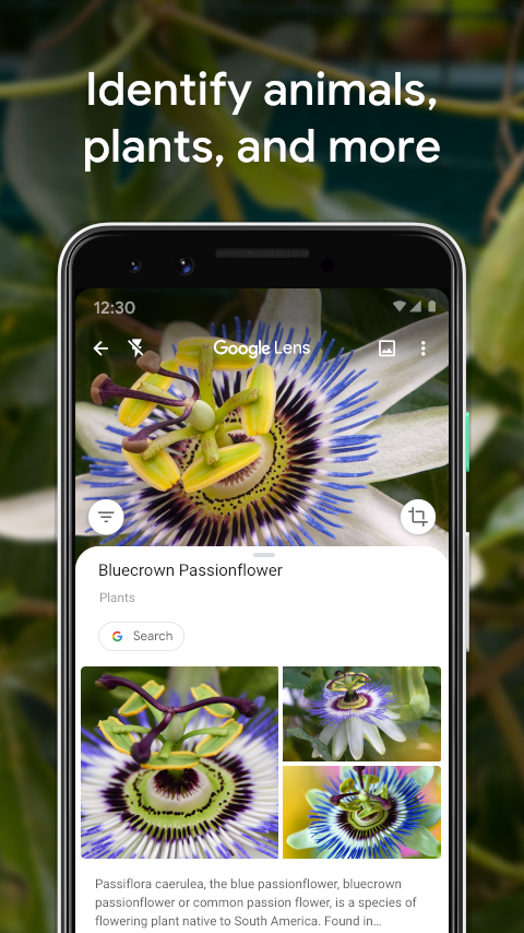 اسکرین شات 4 برنامه Google Lens